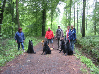 B-Wurf,v.der schwarzen Wolfsangel,Hellenhan2007